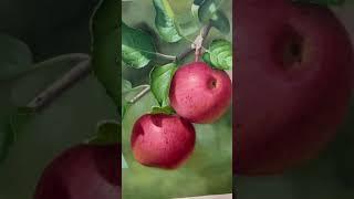 Watch a Hyper-Realistic Apple Emerge from a Blank Canvas at Dafen Art Studio #painting