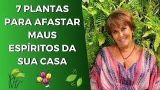 Sensitiva Márcia Fernandes e as 7 Plantas que Afastam Maus Espíritos da sua Casa