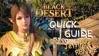 Black Desert Quick Guide - Jettinas Boss Armor PEN V Guaranteed UPDATED