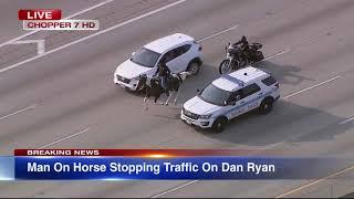 LIVE REPORT Dreadhead Cowboy rides horse on Dan Ryan Expressway