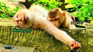 Wow.. Great Monkey Lyly tries to comfort Poor Baby LEO to Sleep cuz Mom Libby leaves him alone.