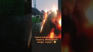 jagung bakar aseli  #shorts #video #viral