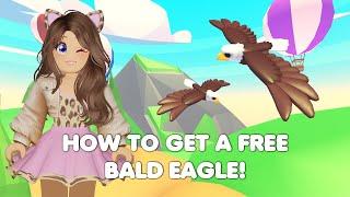 HOW to get a FREE BALD EAGLE in Adopt me FINAL WEEK