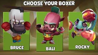 Who is the Strongest Boxer in Zoo   Zooba