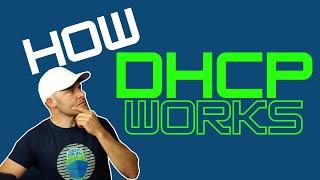 How DHCP Works  DHCP EXPLAINED