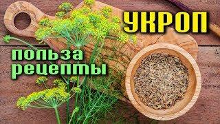 РЕЦЕПТЫ ИЗ УКРОПНОГО СЕМЕНИ