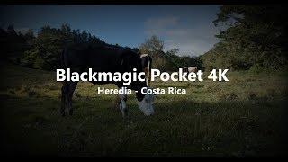 Blackmagic pocket cinema camera 4k - Film test