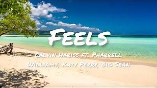 Calvin Hariss - Feels ft. Pharrell Williams Katy Perry Big Sean Lyrics
