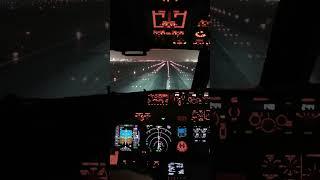 B737 Cadet Pilot Landing