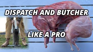 How to Raise and Butcher Meat Rabbits COMPLETE GUIDE