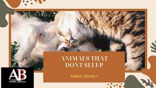 ANIMALS THAT DO NOT SLEEP