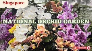 national orchid garden singapore