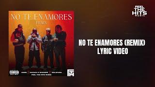 NO TE ENAMORES REMIX  LYRIC VIDEO - HAMIL  NATHAN & SHANDER  EL MALA FAMA