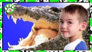 CROCODILE FARM and CROCODILE SHOW