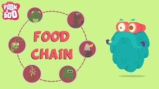 What Is A Food Chain?  The Dr. Binocs Show  Educational Videos For Kids
