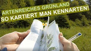 Artenreiches Grünland - Kartieren der Kennarten