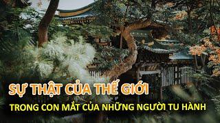 Sự thật của thế giới trong con mắt của những người tu hành - Vạn vật giác ngộ