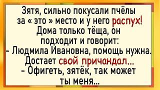 Как тёща увидела распухший у зятя Сборник свежих анекдотов Юмор