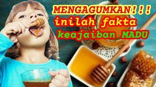 manfaat Madu untuk kesehatan anak