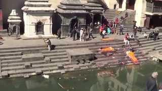 Pashupatinath Temple - Kathmandu Nepal