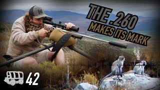 A Savage on the Loose The .260 Makes its Mark  The Oxwagon Diaries pt.42 Monkey Hunting