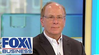 BlackRock CEO Larry Fink This is a crisis in the world today