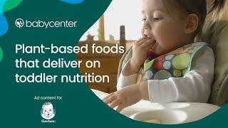 Plant-Based Foods That Deliver on Toddler Nutrition  Ad Content for Gerber