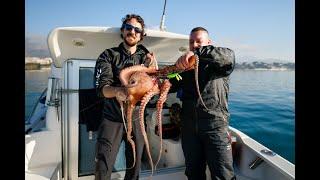 Tako Eging la nuova frontiera della pesca al polpo