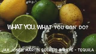 Jax Jones Martin Solveig & RAYE - Tequila Lyrics