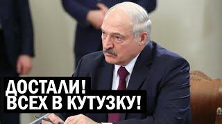 СРОЧНО Лукашенко слетел с катушек - последний день сбора Подписей Силовики взяли Беларусь в кулак