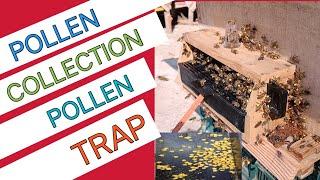 Pollen kaisa collect kara How to collect pollen through pollen trap#pollinator #trap #bees