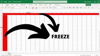 How To Freeze Raw and Column and Panel in Microsoft Excel