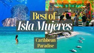 Best of Isla Mujeres Mexico - The best place for whale shark diving