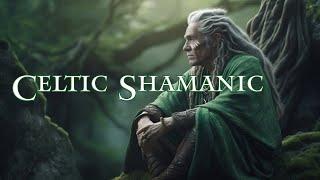 Celtic Shamanic - Soothing Tribal Sounds - Relaxing with Rhythm - Healing Soundscape