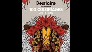 Flip Through Art Therapie Bestiaire Extraordinaire - 100 Coloriages Anti-Stress Coloring Book