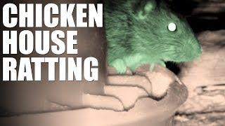 Pellet Power & Performance - Chicken House Ratting