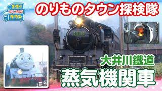 【のりもの探検隊】蒸気機関車（大井川鐡道）