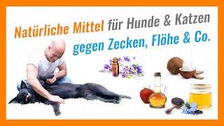 Natürliche Mittel gegen Zecken Flöhe Milben & Co. für Hunde und Katzen