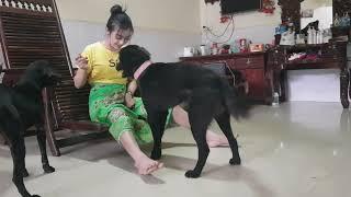 Beautiful girl paly with Jully dog also Jully kiss her. SM Daily