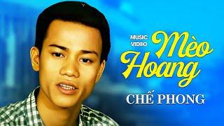 Chế Phong - MÈO HOANG  Official Music Video