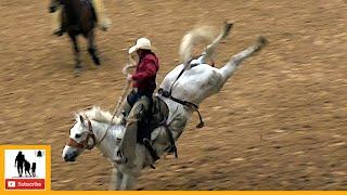 Bronc Riding - 2023 Coors Cowboy Club Ranch Rodeo  Saturday Censored