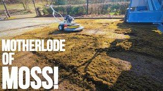 Cleaning Up HUNDREDS Of Kilos Of Moss From A Car Park  Westermann Radial