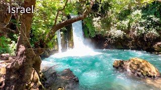 Golan Heights. On The Border with Lebanon. Hermon Stream banias. Nature Reserve