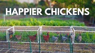 The Beginners Guide to Small Scale Backyard Pastured Poultry