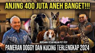 ANJING 400 JUTA ANEH BANGET  PAMERAN DOGGY DAN KUCING TERLENGKAP 2024 #AudreyA #KINGOFTHEJUNGLE
