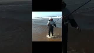 SURF FISHING IN THE SEA  
