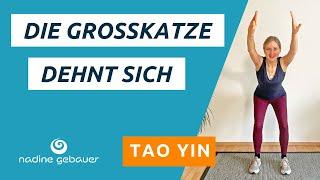 Tao Yin - Die Großkatze dehnt sich