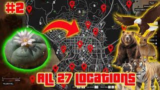 GTA 5 -  All 27 Peyote Plants Location Guide in Story Mode XBOX PC PS4 PS5