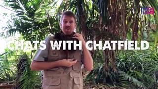 Chats with Chatfield - Homeschool - kinkajou