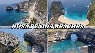 Visiting Beaches in Nusa Penida  Nusa Penida One Day Tour